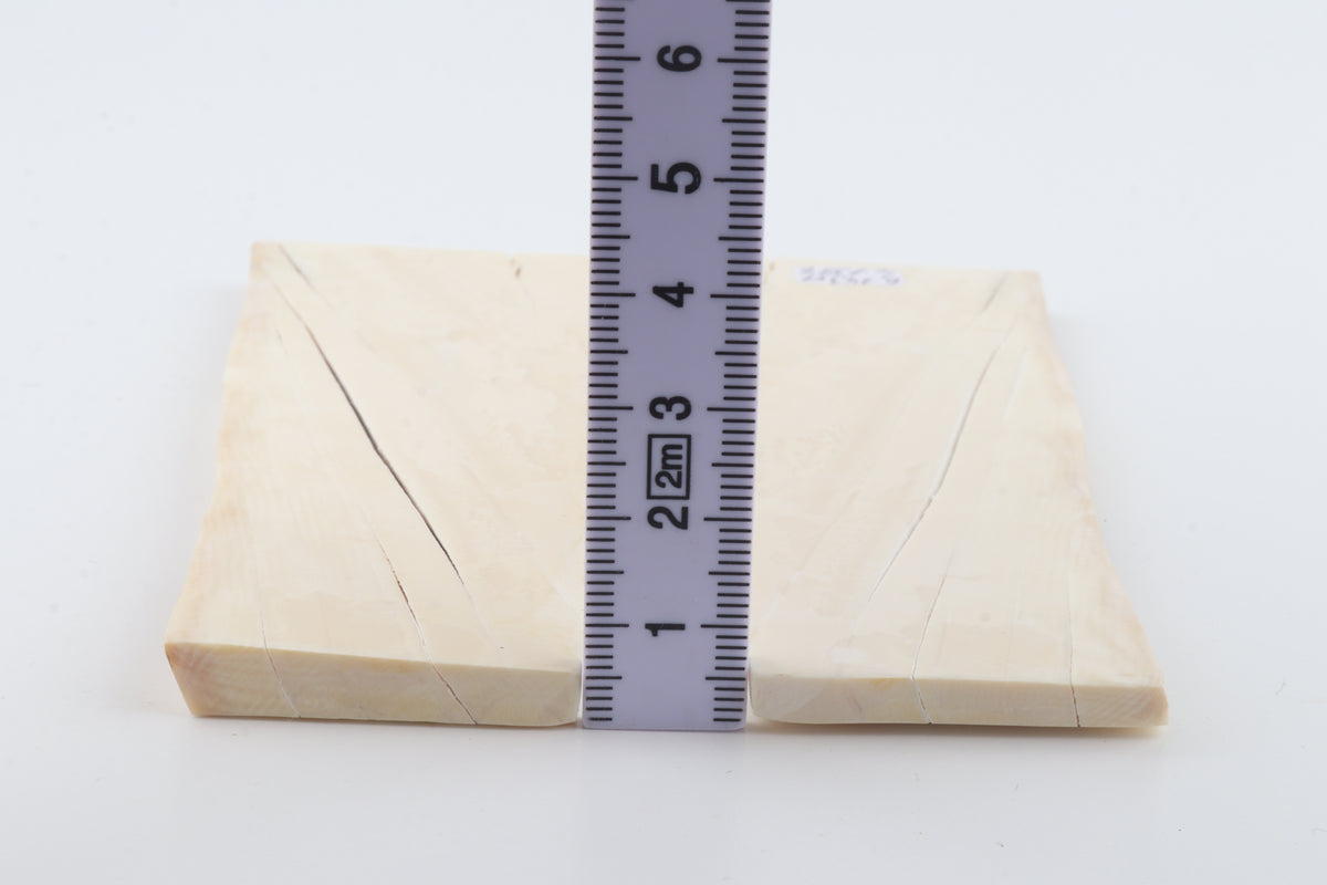 White mammoth ivory scales
