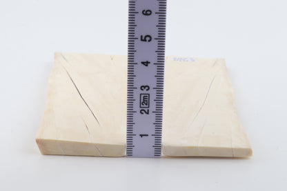 White mammoth ivory scales
