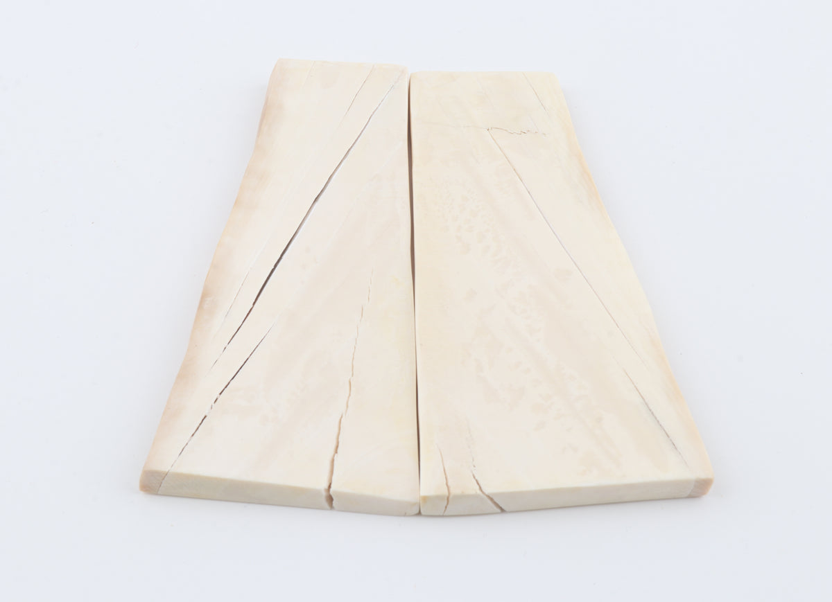 White mammoth ivory scales