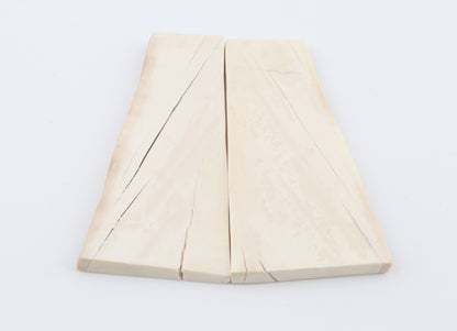 White mammoth ivory scales