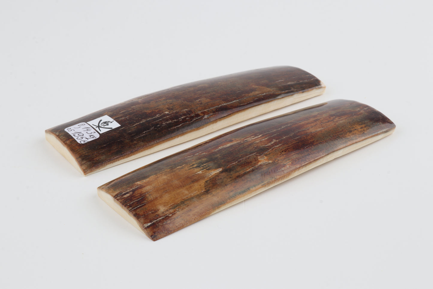 Natural mammoth bark scales