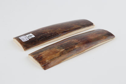 Natural mammoth bark scales