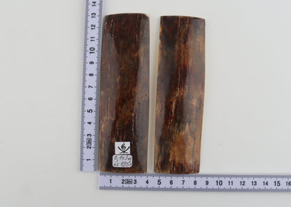 Natural mammoth bark scales