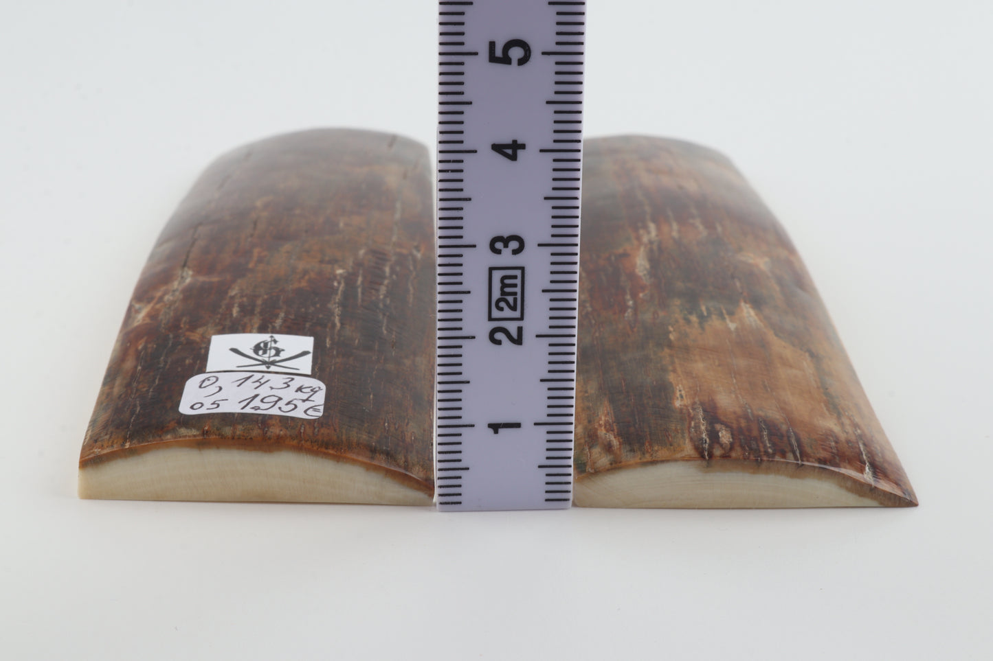 Natural mammoth bark scales