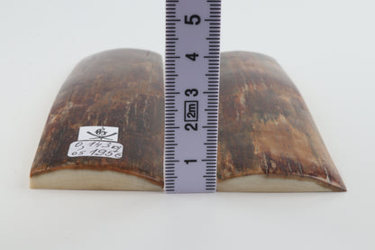 Natural mammoth bark scales