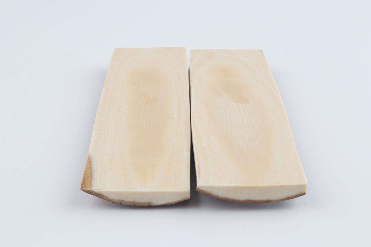 Natural mammoth bark scales