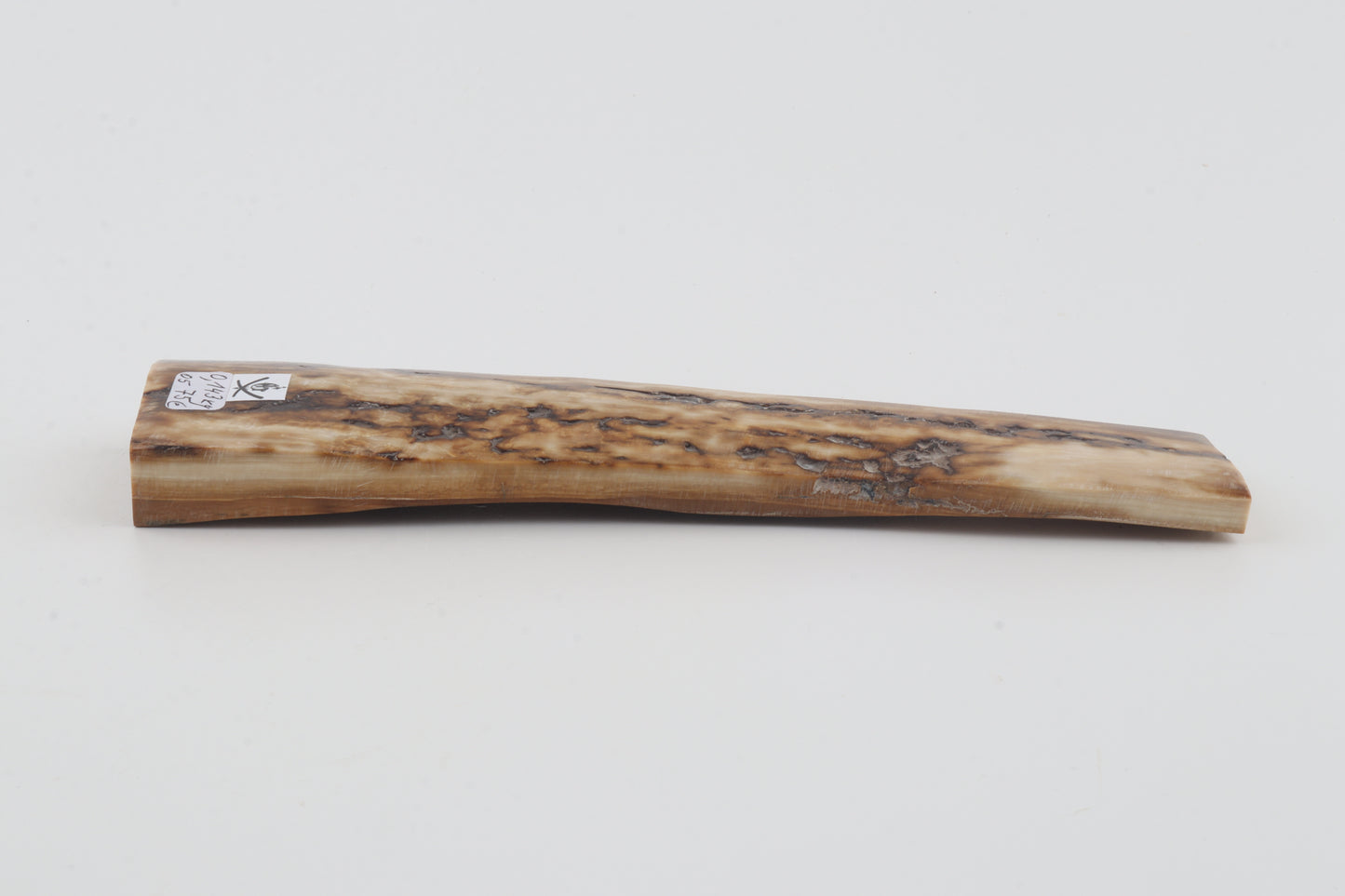 Creme-beige mammoth bark