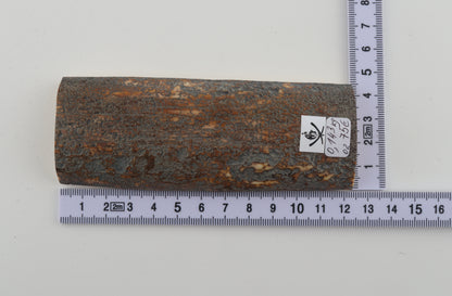 Brown-blue mammoth bark