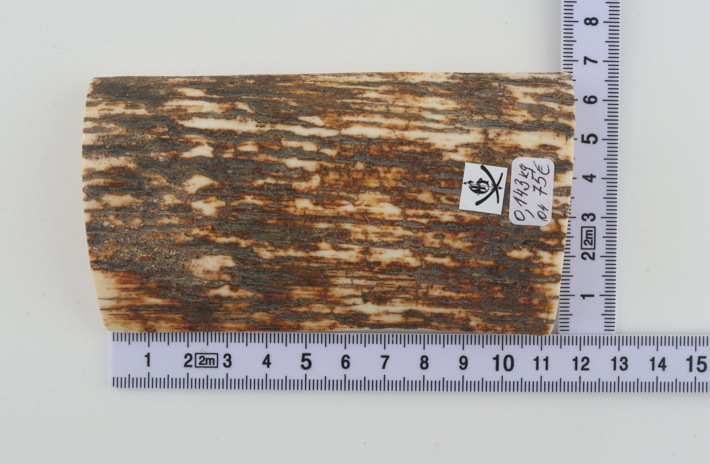 Natural woolly mammoth bark