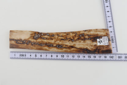 Creme-beige mammoth bark