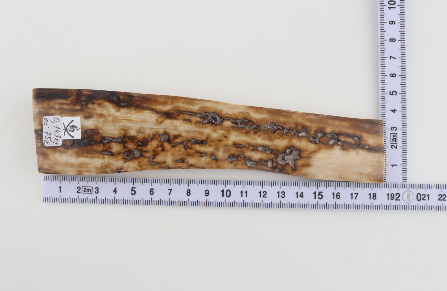 Creme-beige mammoth bark