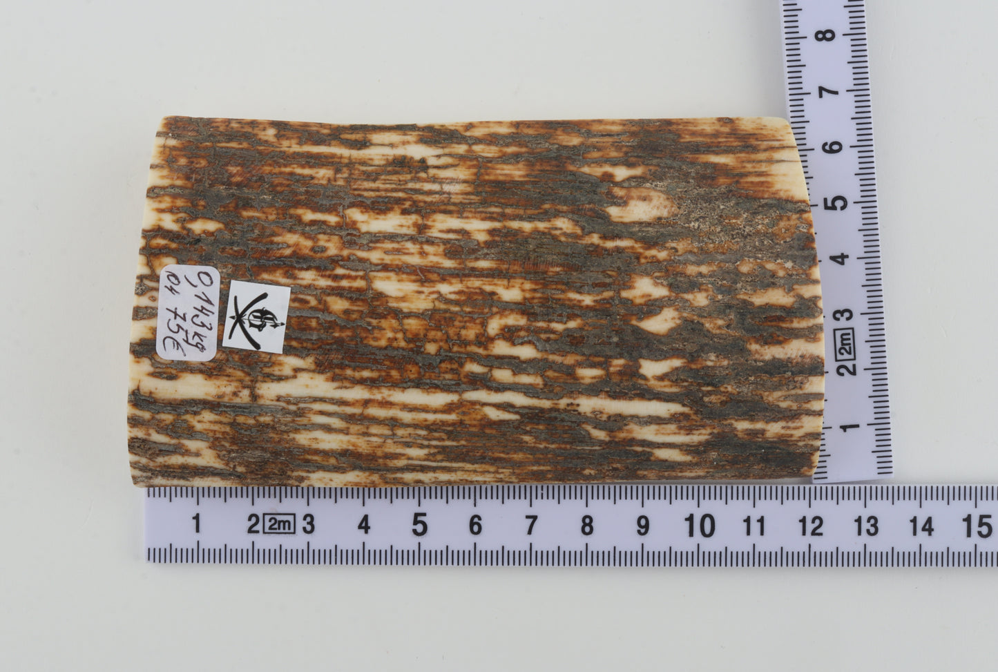 Natural woolly mammoth bark