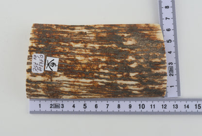 Natural woolly mammoth bark