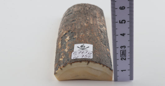 Brown-blue mammoth bark