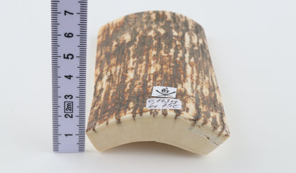 Natural woolly mammoth bark