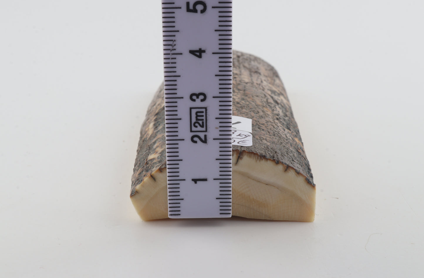 Brown-blue mammoth bark