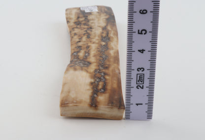 Creme-beige mammoth bark