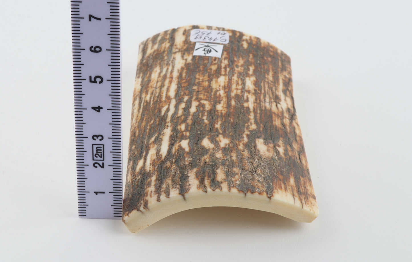 Natural woolly mammoth bark