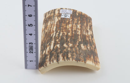 Natural woolly mammoth bark