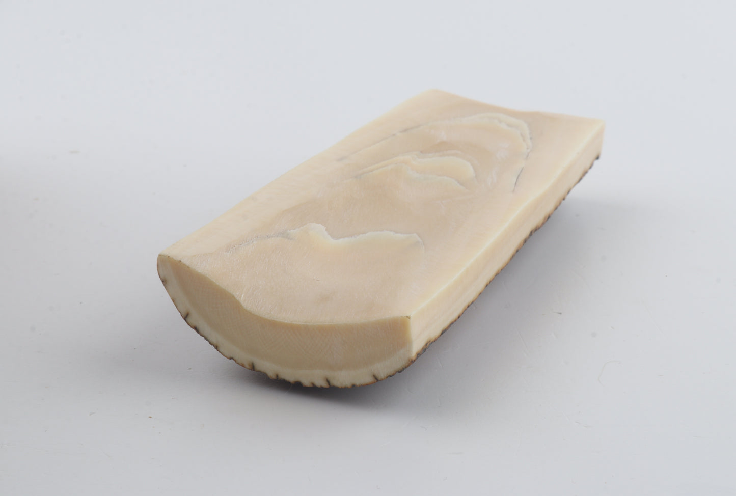 Brown-blue mammoth bark