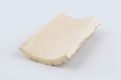Natural woolly mammoth bark