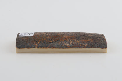 Brown-blue mammoth bark