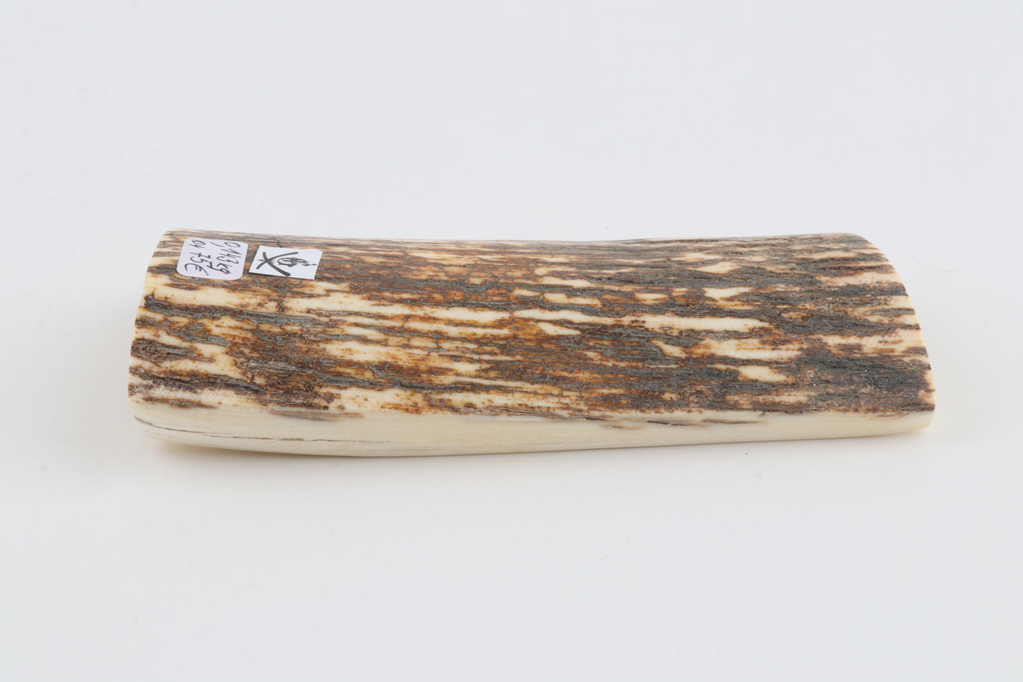 Natural woolly mammoth bark