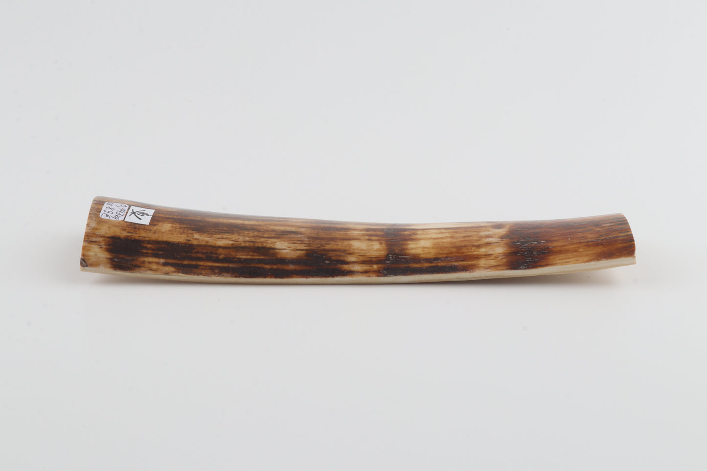 Brown-amber mammoth bark