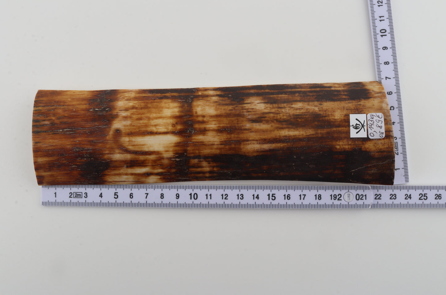 Brown-amber mammoth bark