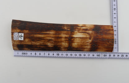Brown-amber mammoth bark