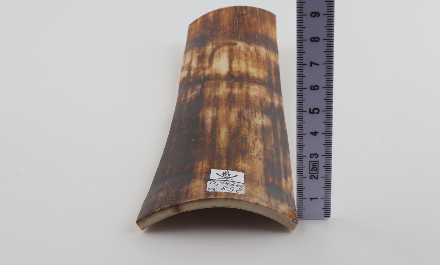 Brown-amber mammoth bark