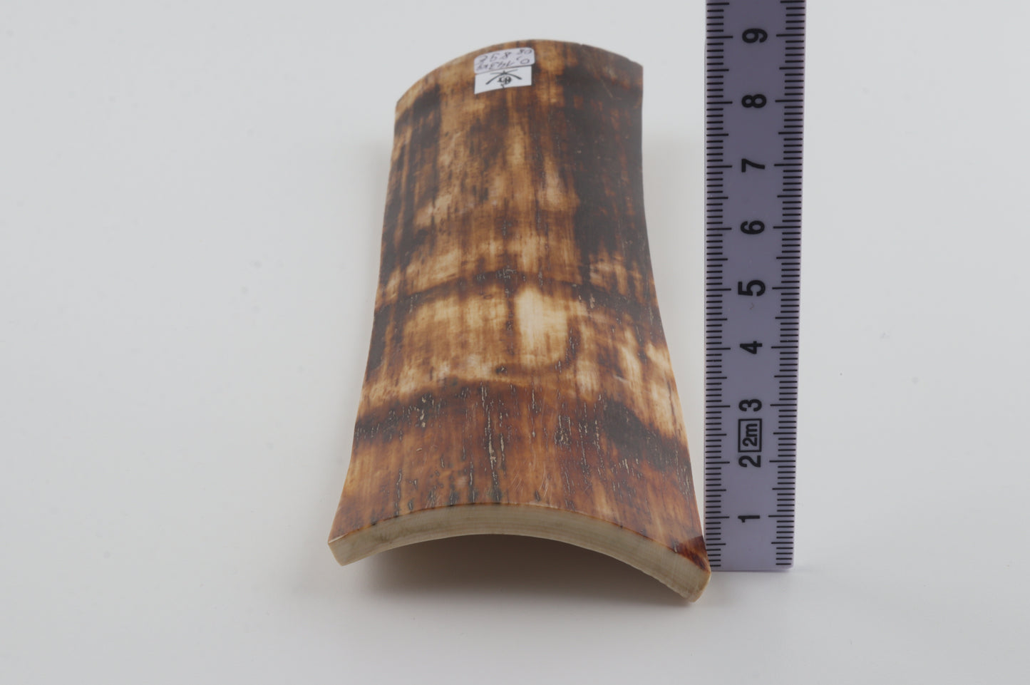 Brown-amber mammoth bark