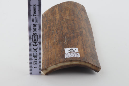 Mustard mammoth bark