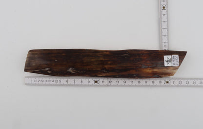 Brown mammoth bark