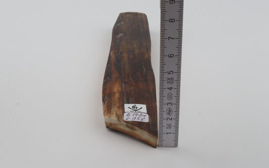 Brown mammoth bark