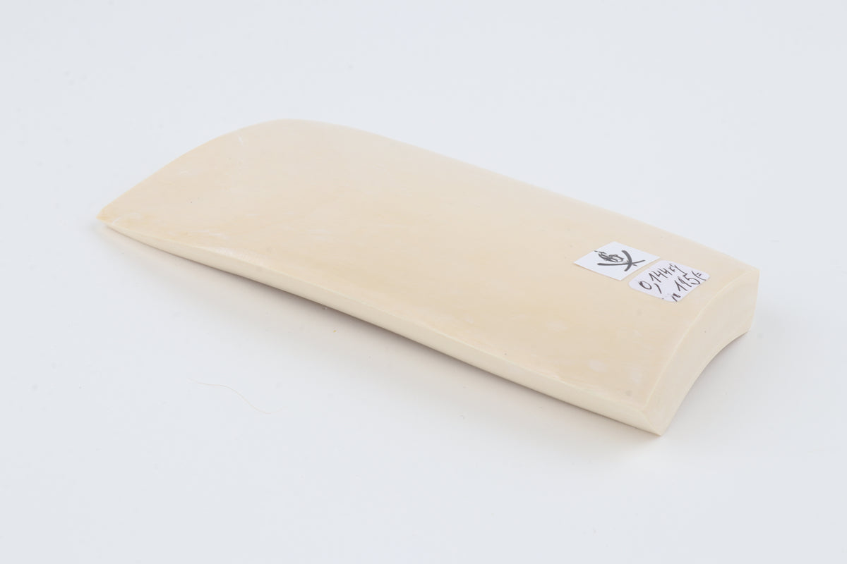 White mammoth ivory segment