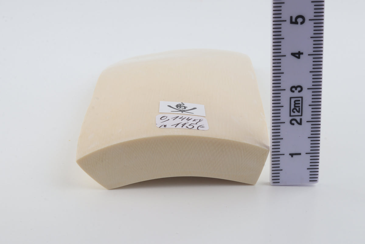 White mammoth ivory segment