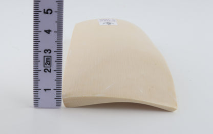 White mammoth ivory segment