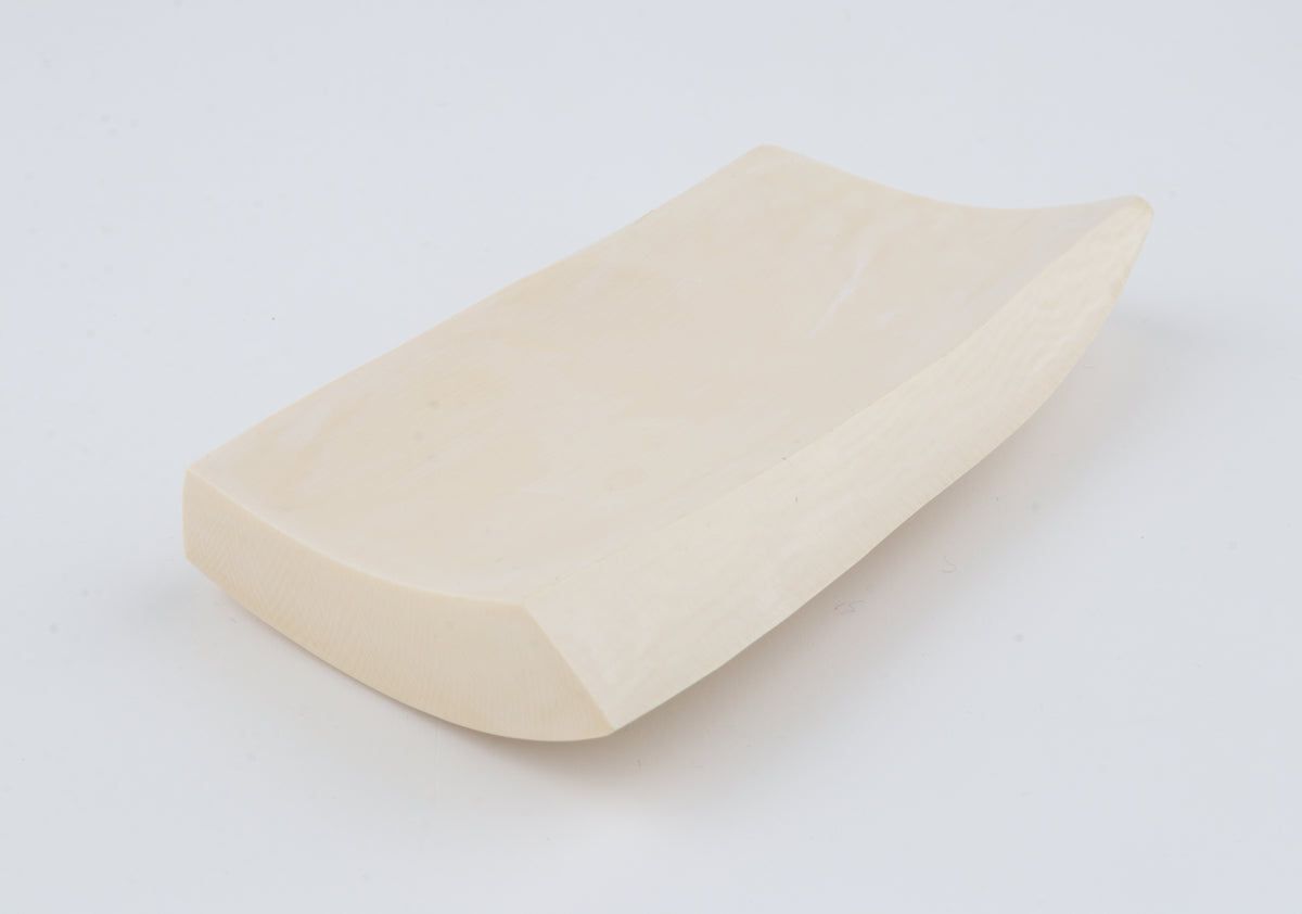 White mammoth ivory segment