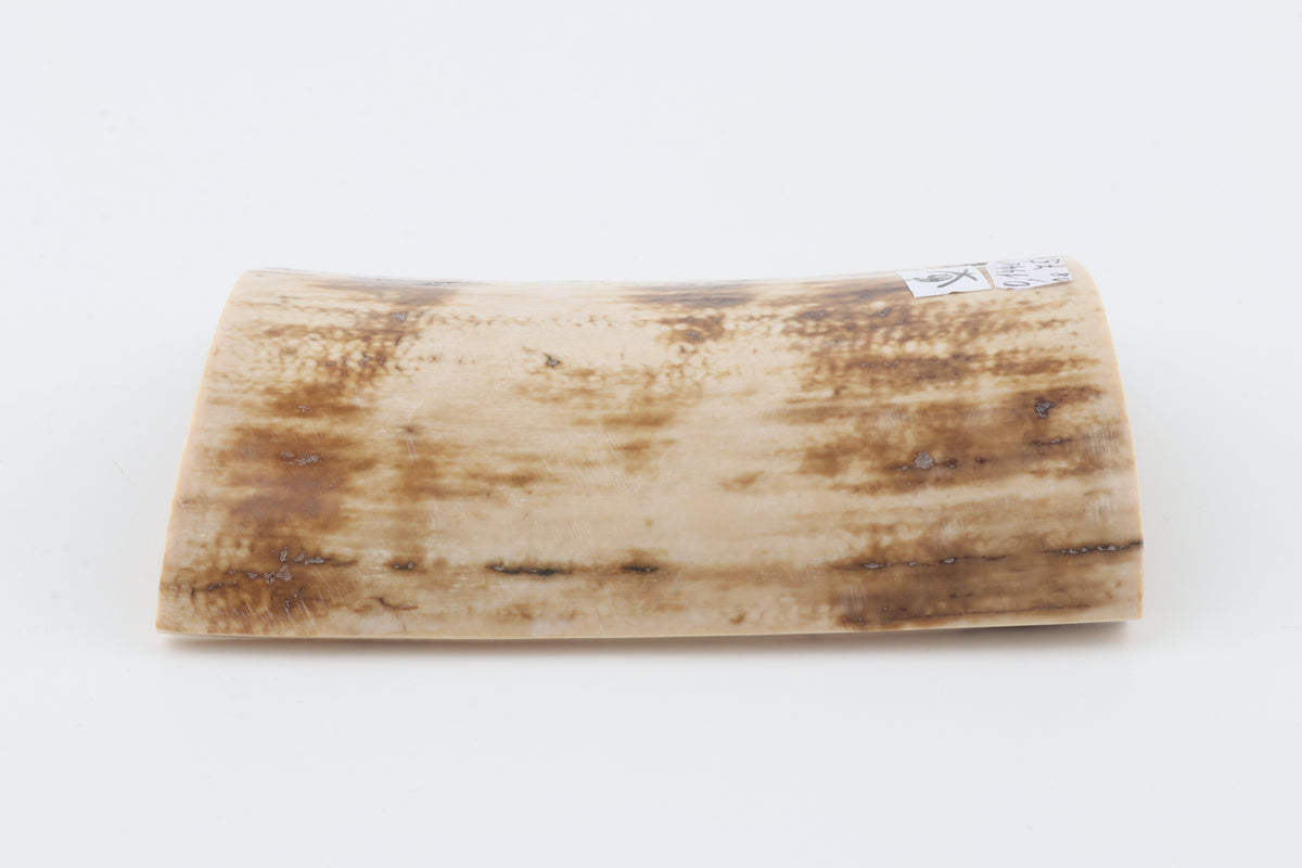 Natural mammoth bark