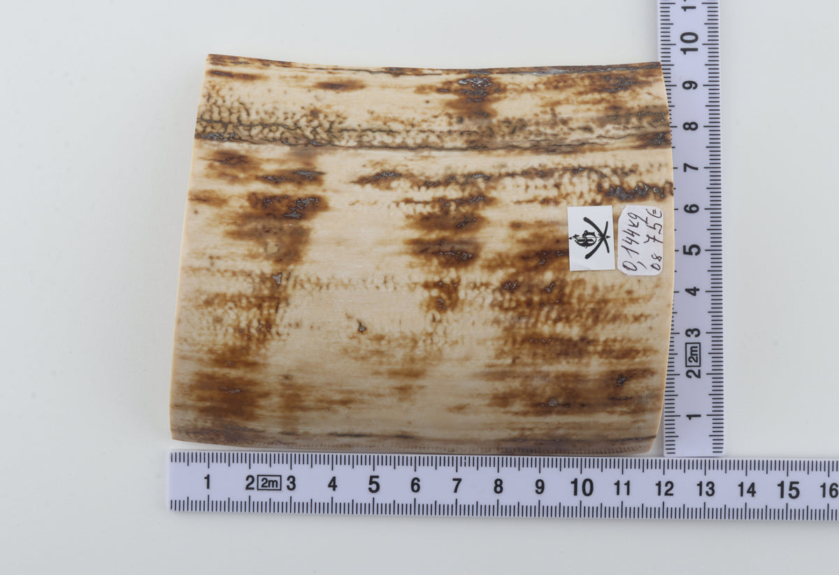 Natural mammoth bark