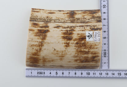 Natural mammoth bark