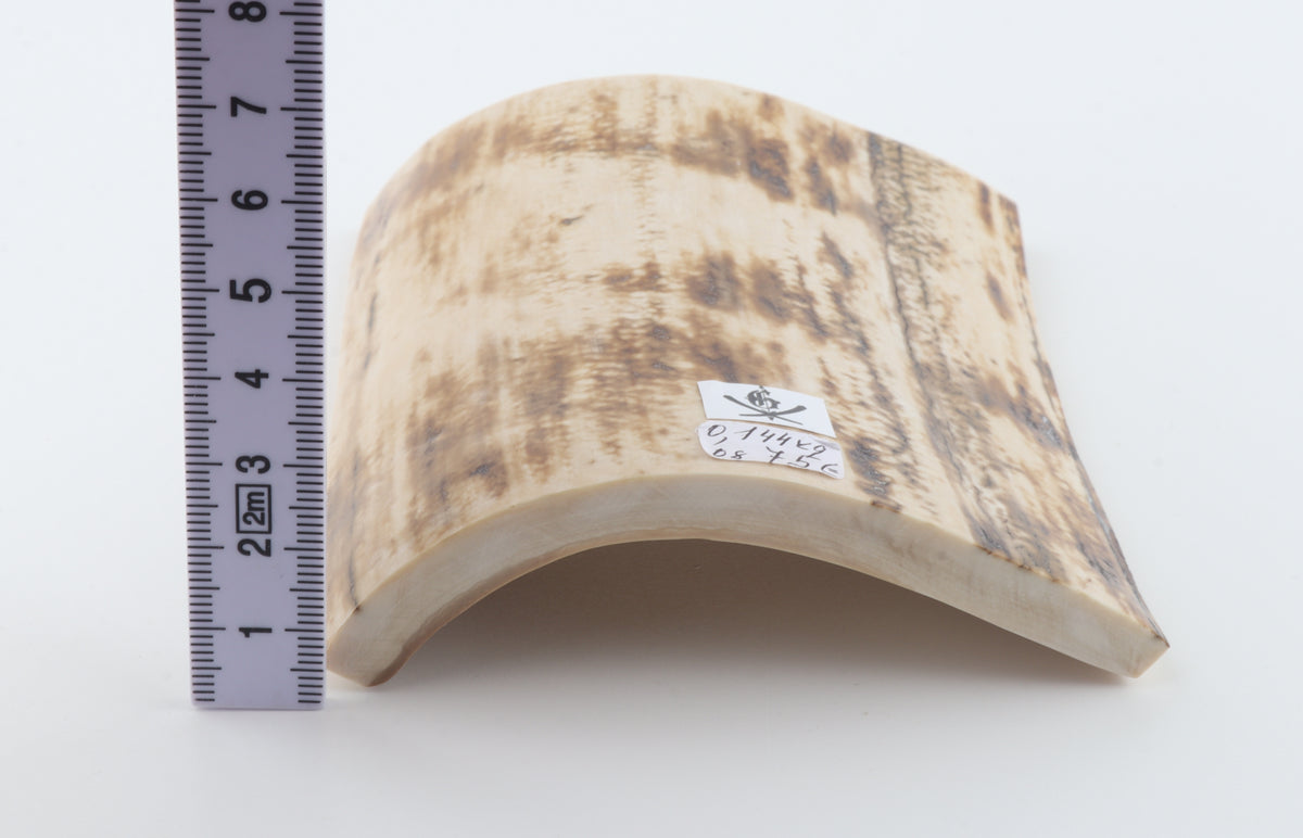 Natural mammoth bark