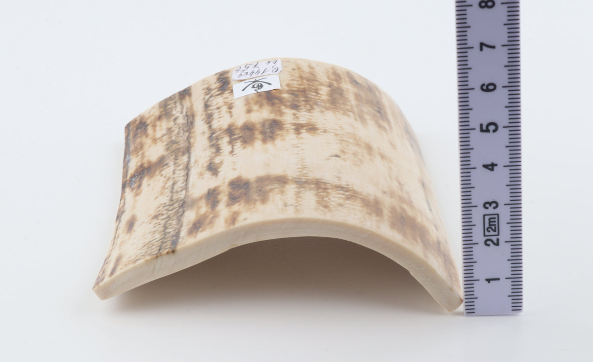 Natural mammoth bark