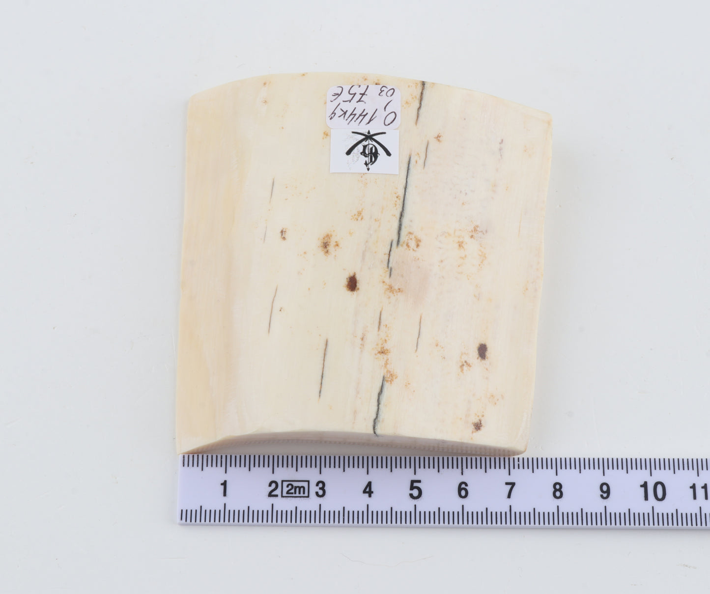 Natural mammoth ivory piece
