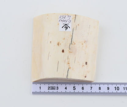 Natural mammoth ivory piece