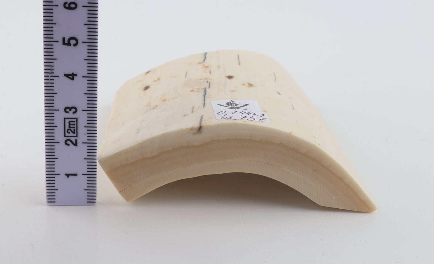 Natural mammoth ivory piece