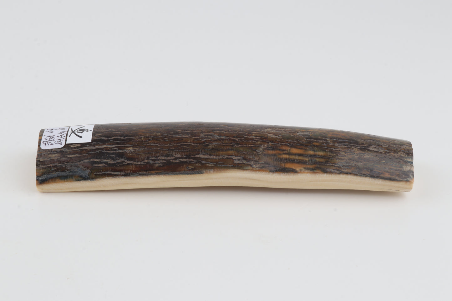 Brown woolly mammoth bark