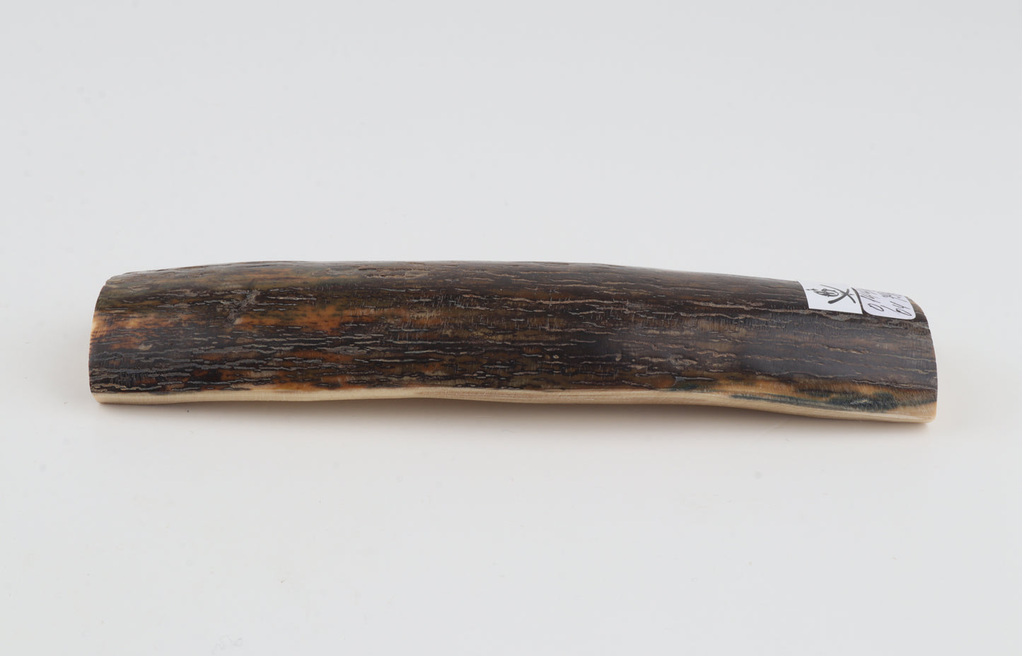 Brown woolly mammoth bark