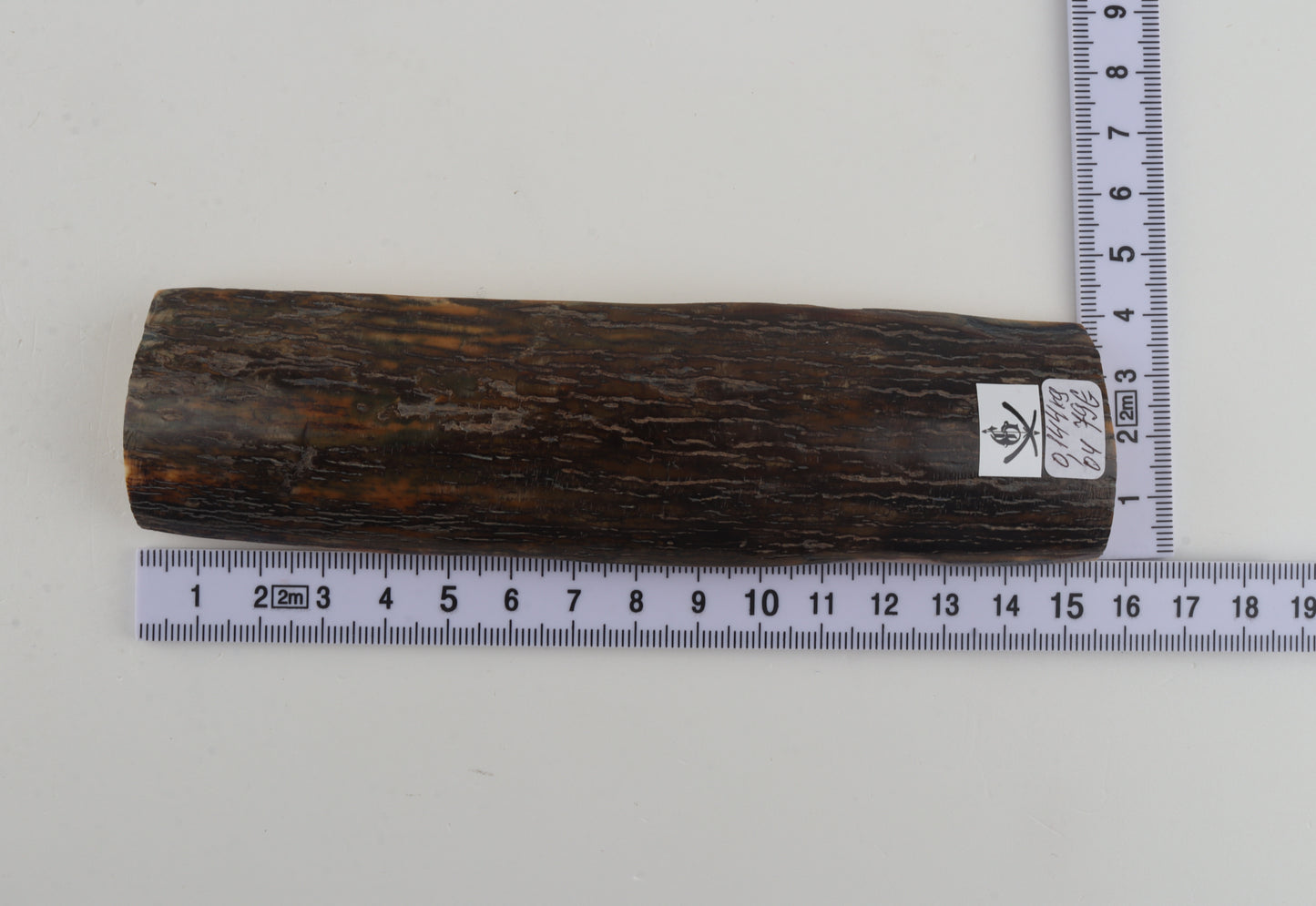 Brown woolly mammoth bark